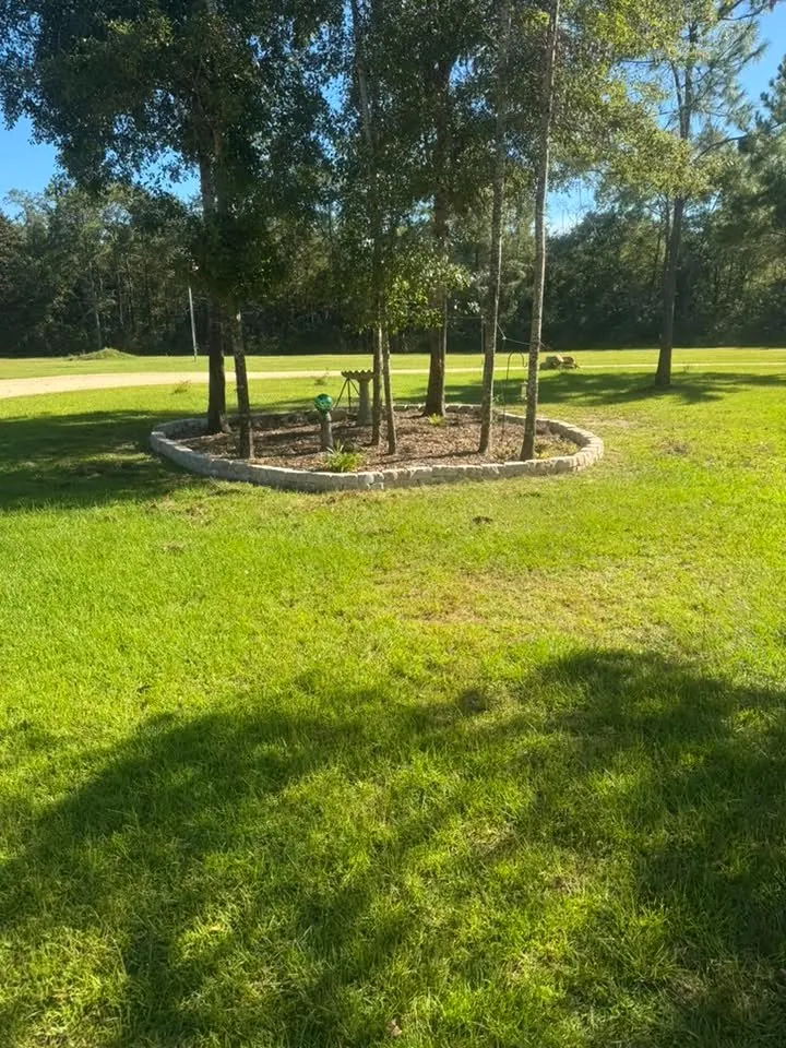 Stone-edged landscape bed around pine trees by Leatherneck